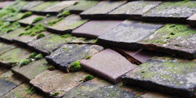 Pont Newydd roof repair costs